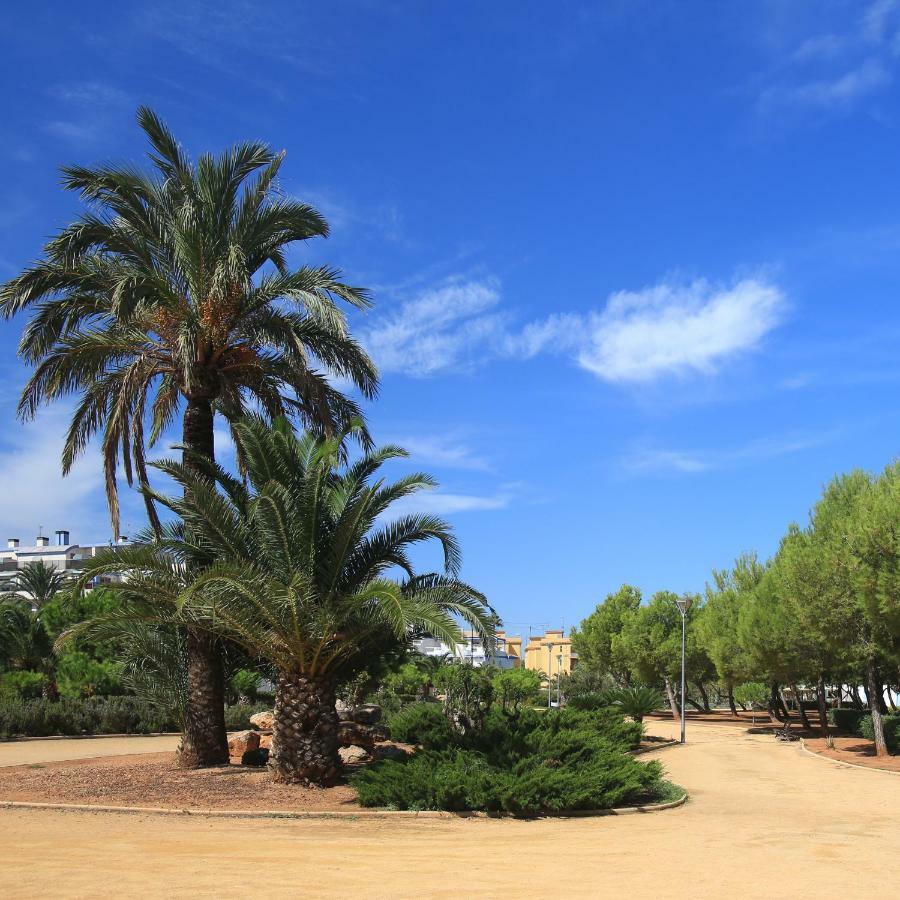 Apartamento Nueva Vida Dénia Exterior foto